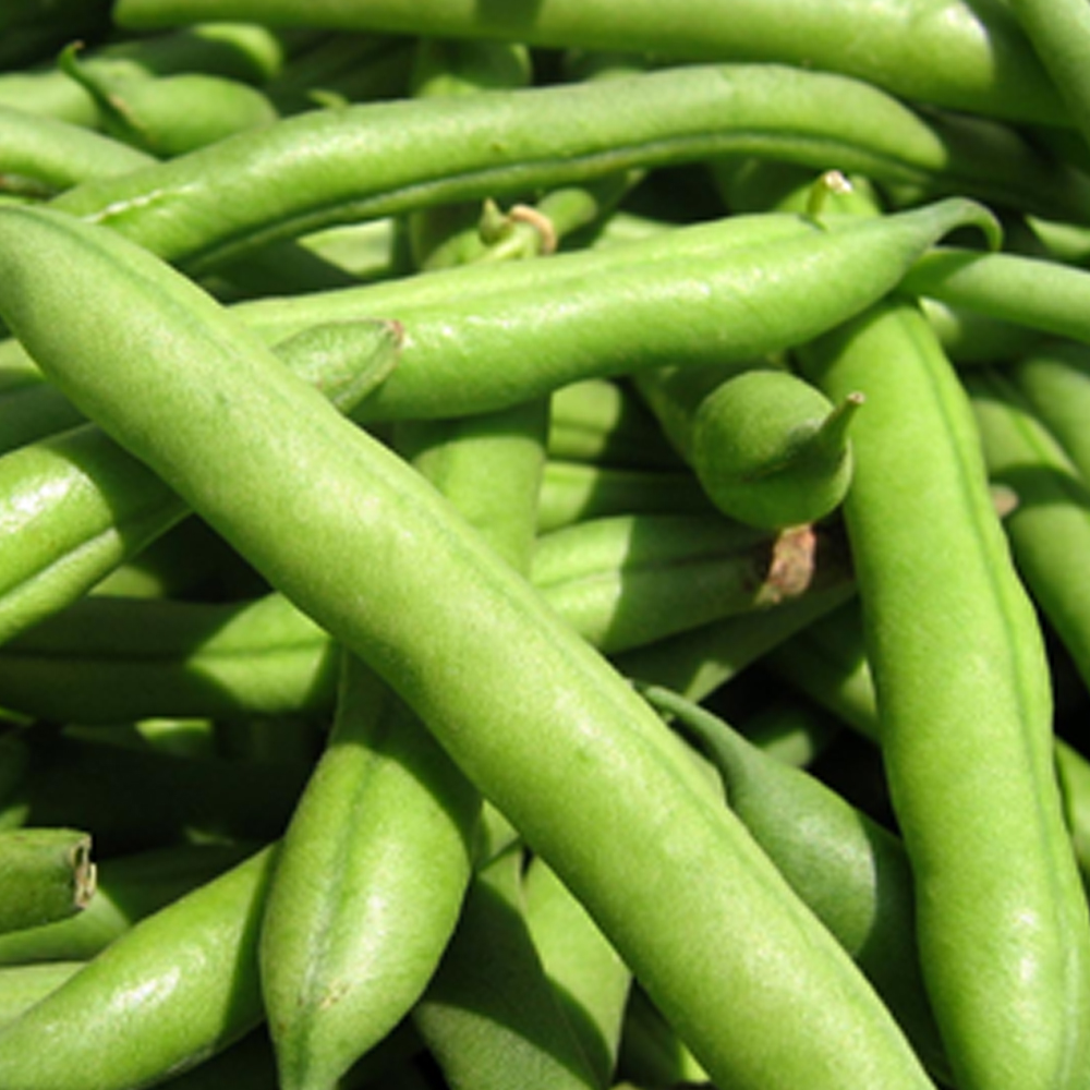 Fresh Beans French, 250 gms