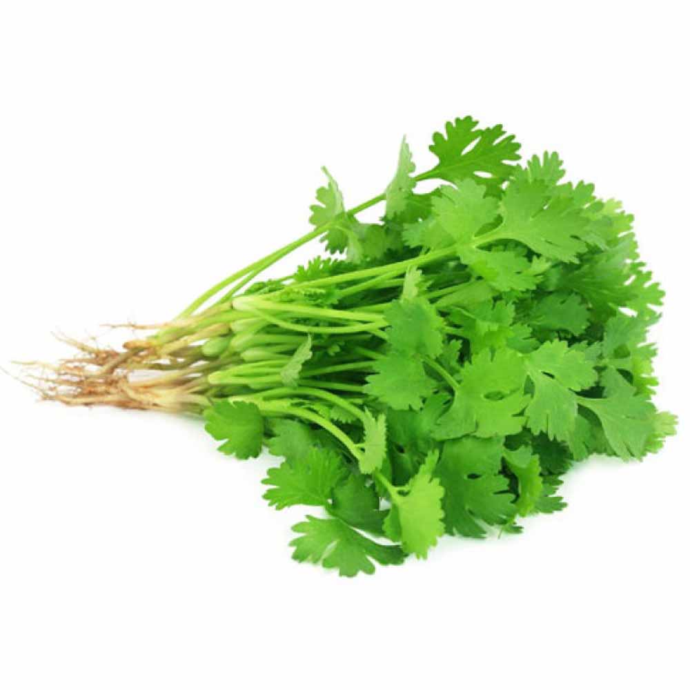 Fresh Dhania (Coriander) 250 gms