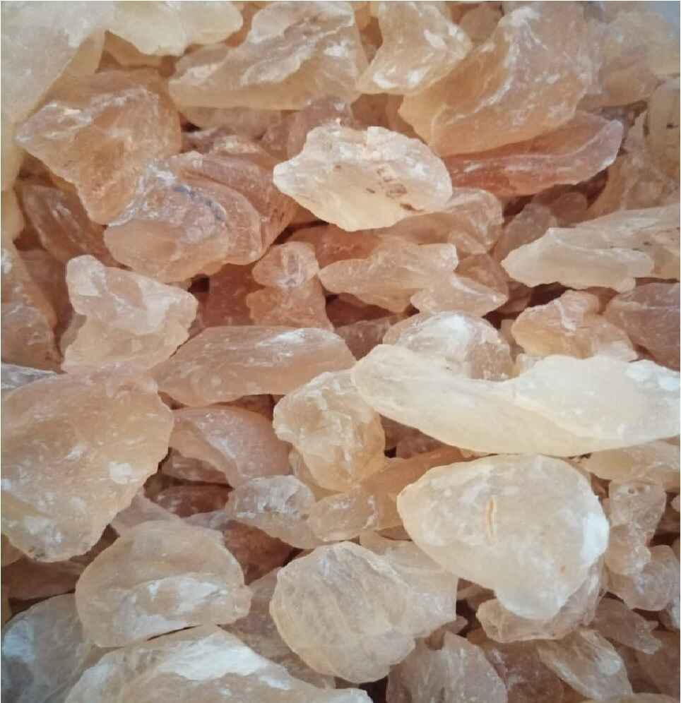 Badam Pisin/பாதாம் பிசின் (250g)