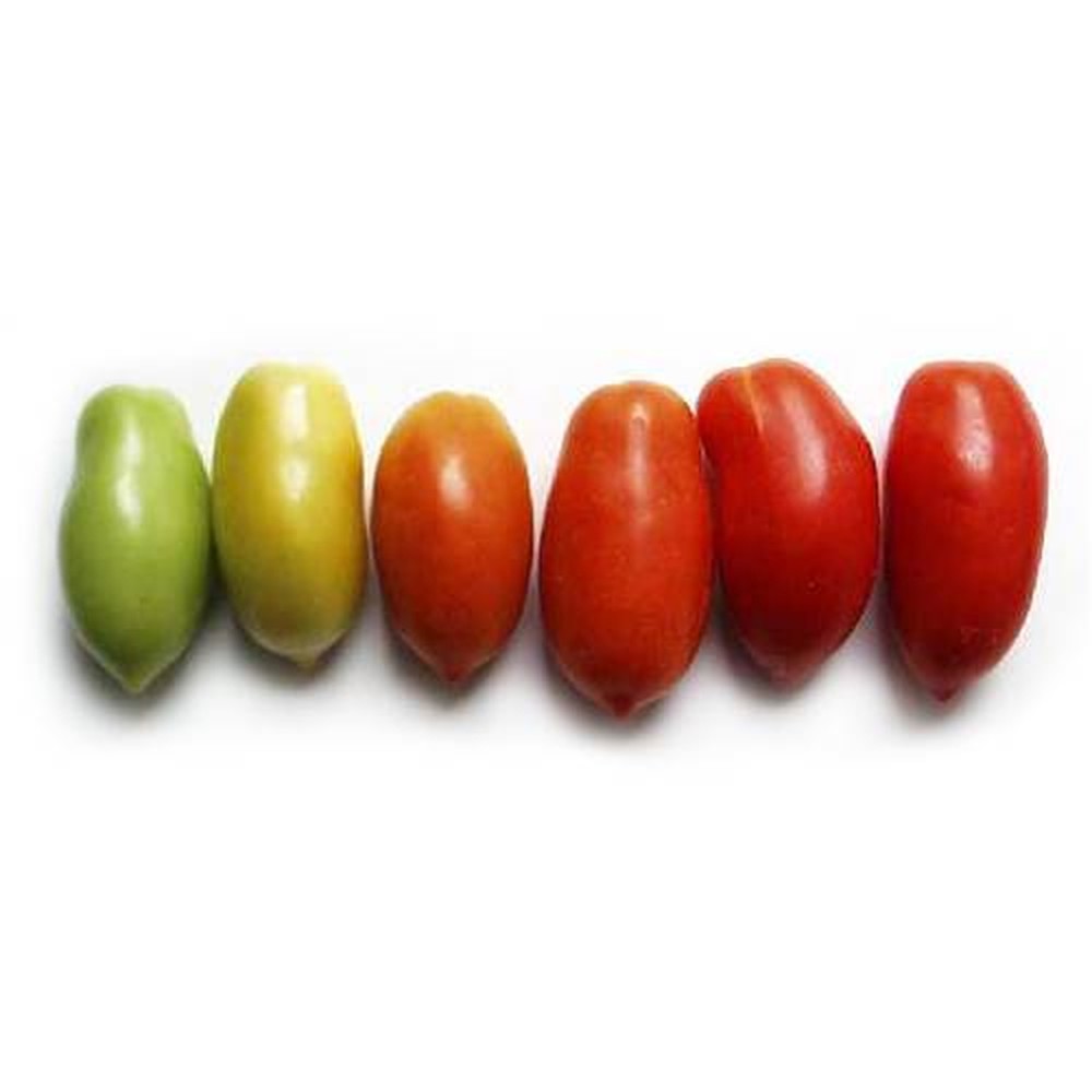 Tomato, 500g