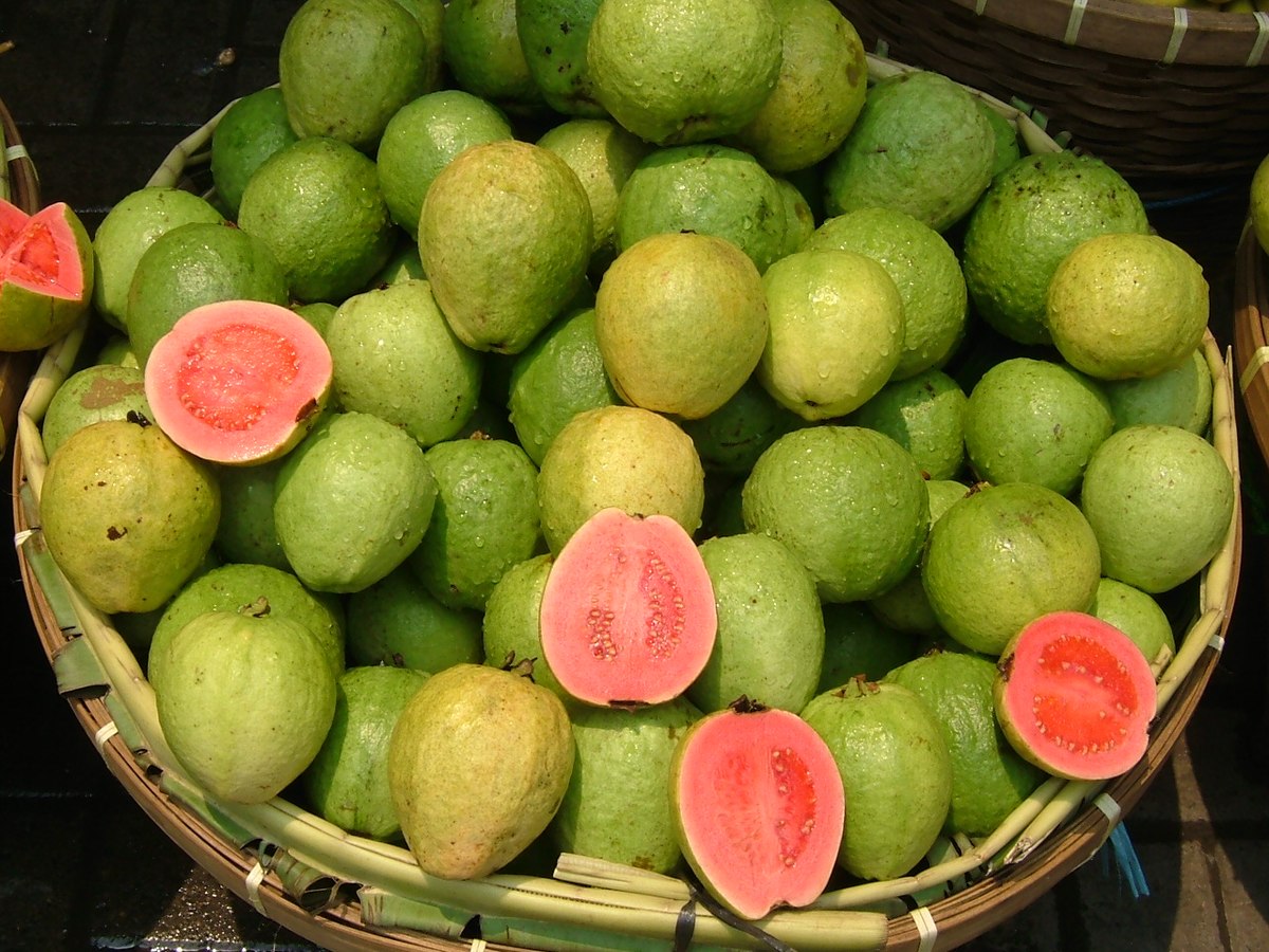 Organic- Guava