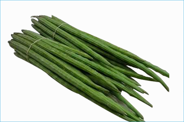 Organic - Drumstick - Shevagyachya Shenga