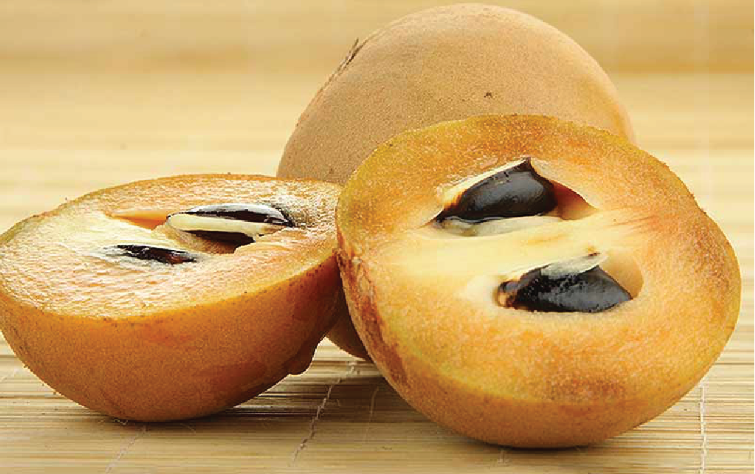 Sapota 