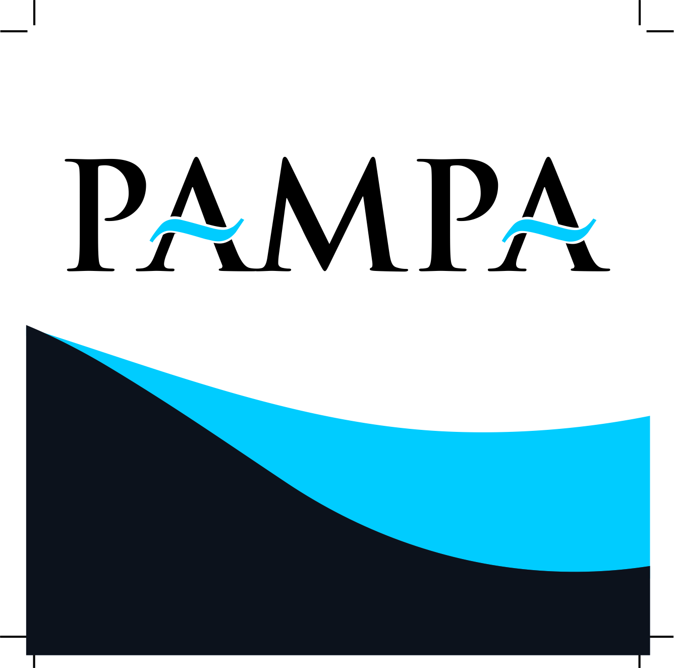 Pampa Group