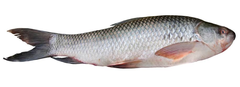 Fish (Bilaspur-Rui) 500g