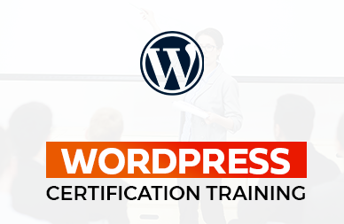 Live WordPress Website Development Workshop 3 days