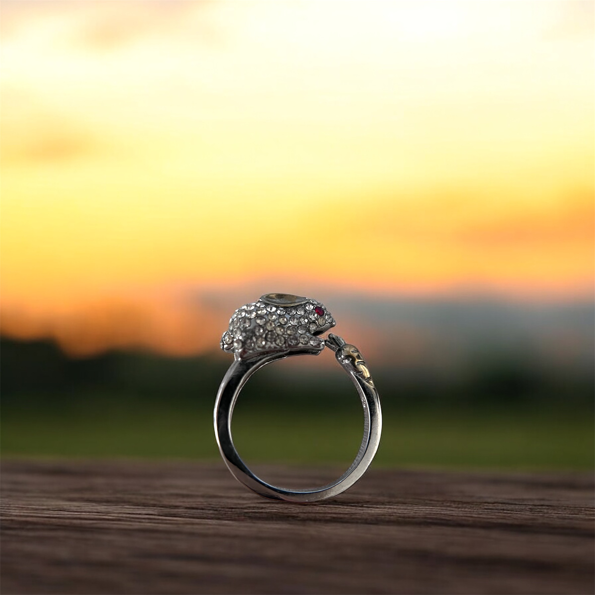 Sassy Squeakers Ring