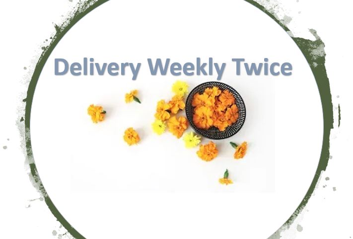 Shakti Flower Package