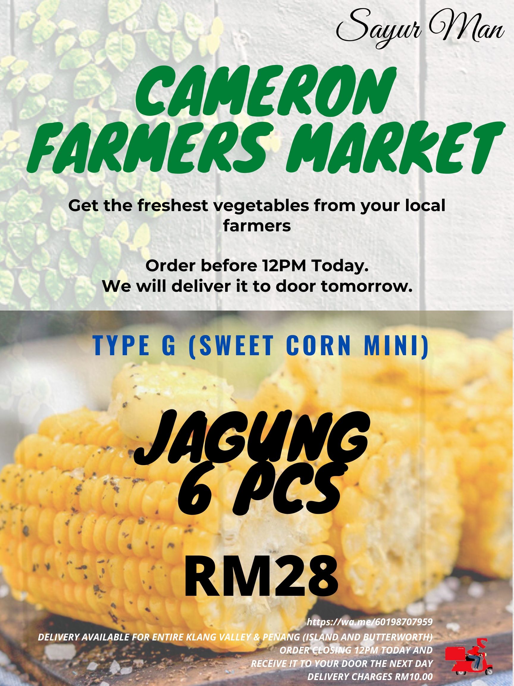 Cameron Highland's Fresh Vegetable TYPE G (SWEET CORN MINI) / Home delivery-Fresh vegetables direct from farm